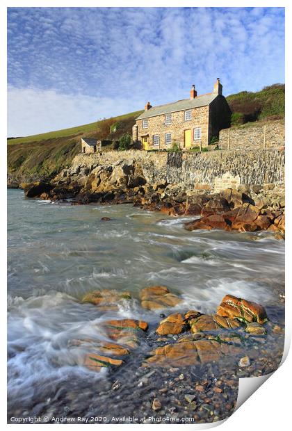 Quay Cottage (Port Quin) Print by Andrew Ray