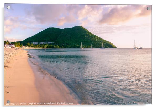 Reduit Beach, St Lucia Acrylic by Milton Cogheil