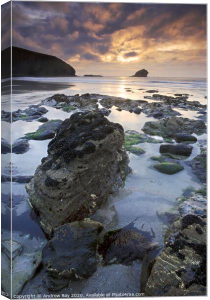   Portreath Sunset Canvas Print by Andrew Ray