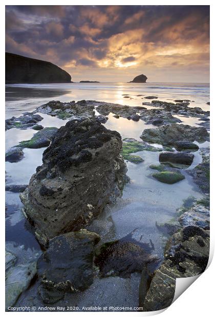   Portreath Sunset Print by Andrew Ray