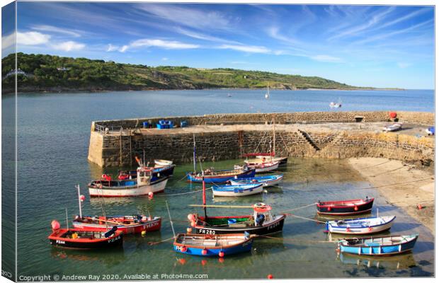 Coverack Harbour Canvas Print by Andrew Ray