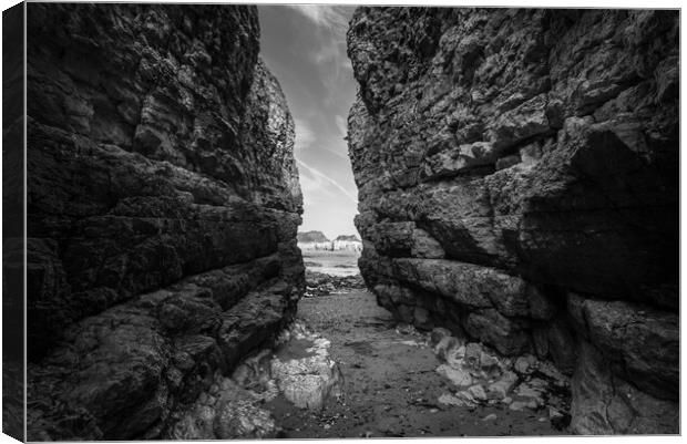 High cliffs at Thornwick Bay, North Yorkshire Canvas Print by Andrew Kearton