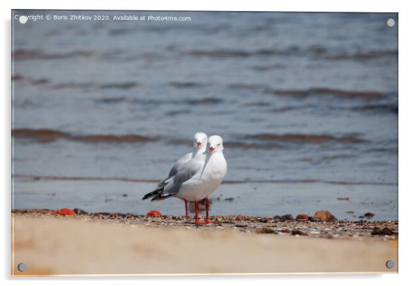 Two seagulls. Acrylic by Boris Zhitkov
