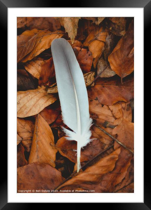 Winter's Delicate Touch Framed Mounted Print by Ben Delves