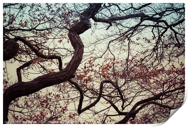 Branches and sky Print by Ben Delves