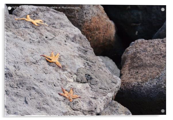 Three starfish on a stone. Acrylic by Boris Zhitkov
