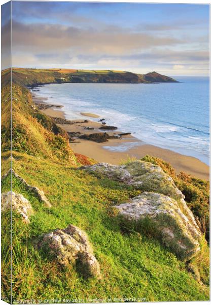 Whitsand Bay Canvas Print by Andrew Ray