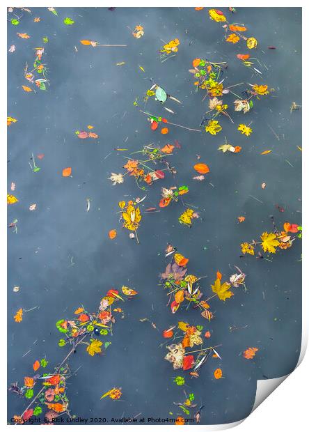Autumn Leaves Print by Rick Lindley