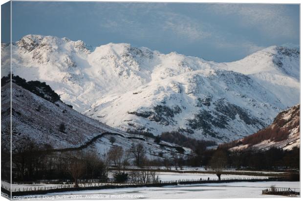 A snowy morn in Langdale Canvas Print by Doug Burke