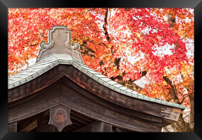 Shrine Roof and Autumn Leaves, Arashiyama, Kyoto Framed Print by Colin & Linda McKie