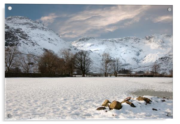 Snowy Morn in Langdale Acrylic by Doug Burke