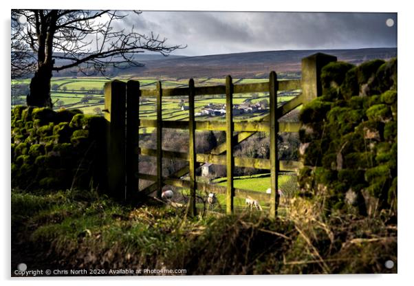 Gateway to the Dales. Acrylic by Chris North
