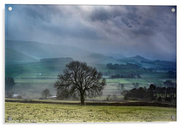 Misty morning, Grassington. Yorkshire Dales. Acrylic by Chris North