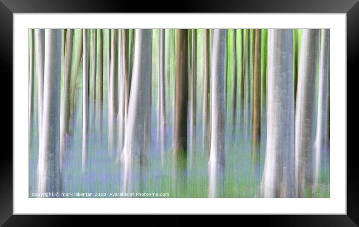 Bluebell Woodland  Framed Mounted Print by mark lakeman