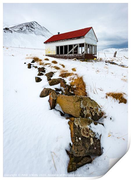 The Red Roof, Iceland Print by Peter O'Reilly