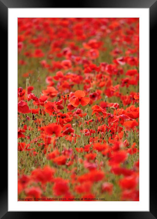 Stand out poppy Framed Mounted Print by Simon Johnson