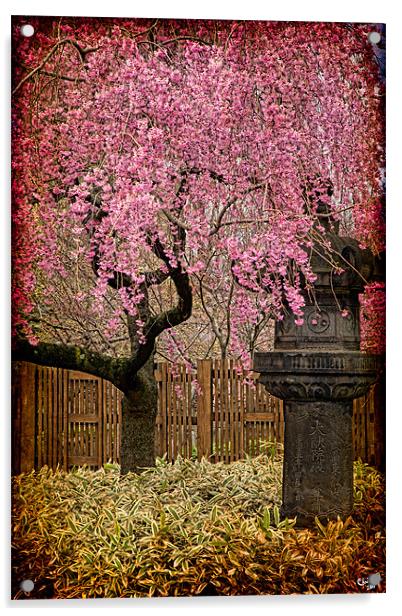 An Asian Spring Garden Acrylic by Chris Lord