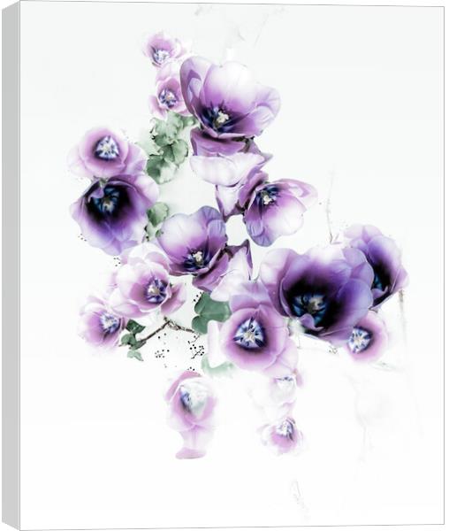 Purple Delight  Canvas Print by Beryl Curran