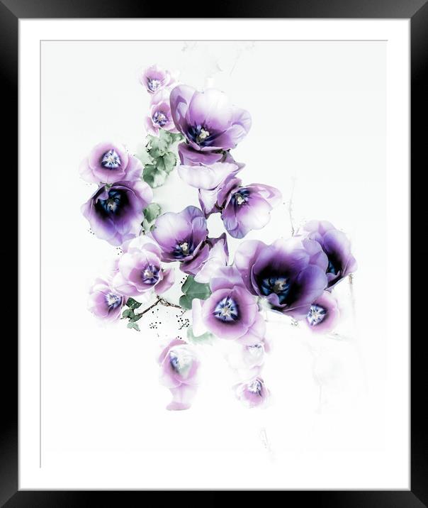 Purple Delight  Framed Mounted Print by Beryl Curran