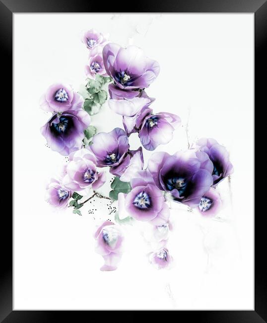 Purple Delight  Framed Print by Beryl Curran