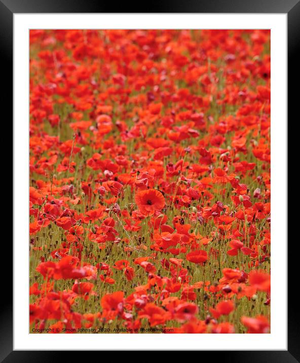 Summer Poppyfield Framed Mounted Print by Simon Johnson