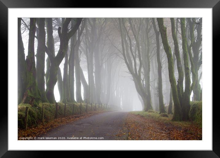 Misty Dartmoor Trees Framed Mounted Print by mark lakeman