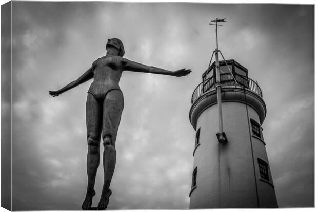 The Diving Belle Canvas Print by David Jeffery