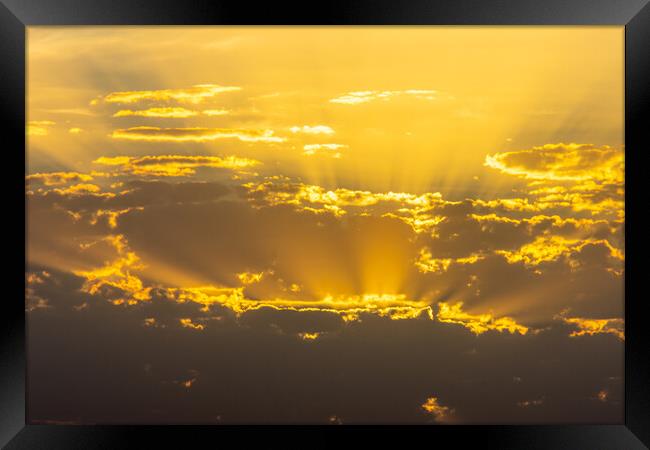 golden sunrise among clouds in summer Framed Print by David Galindo