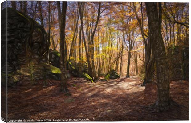 Enchanted Rocks Forest, Santuari of Salud, Catalonia, Spain Canvas Print by Jordi Carrio