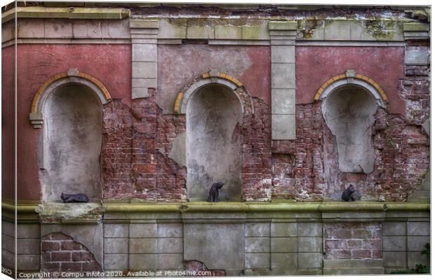 old wall with cats Canvas Print by Chris Willemsen