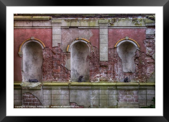 old wall with cats Framed Mounted Print by Chris Willemsen