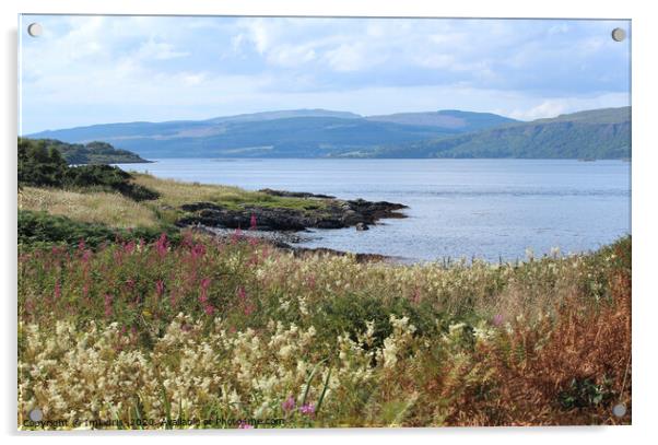 The Sound of Mull, Scotland Acrylic by Imladris 