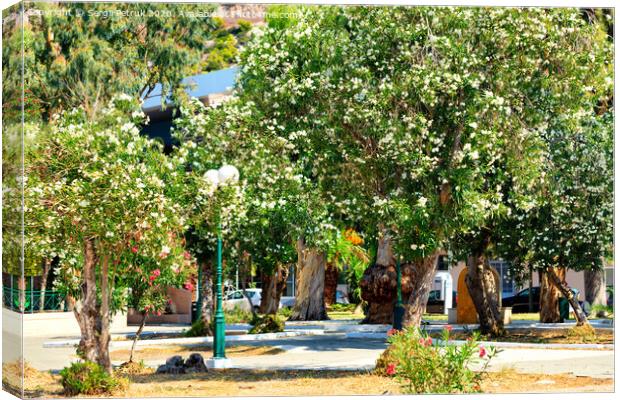 Scenic view of blooming azaleas of Loutraki city park, Greece. Canvas Print by Sergii Petruk