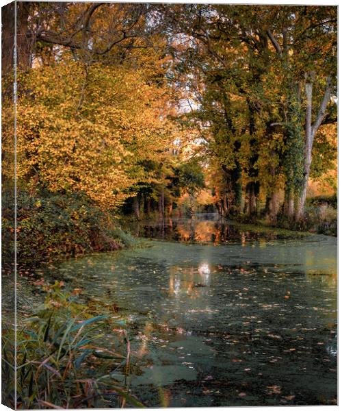 Autumn on the Canal Canvas Print by Mark Jones