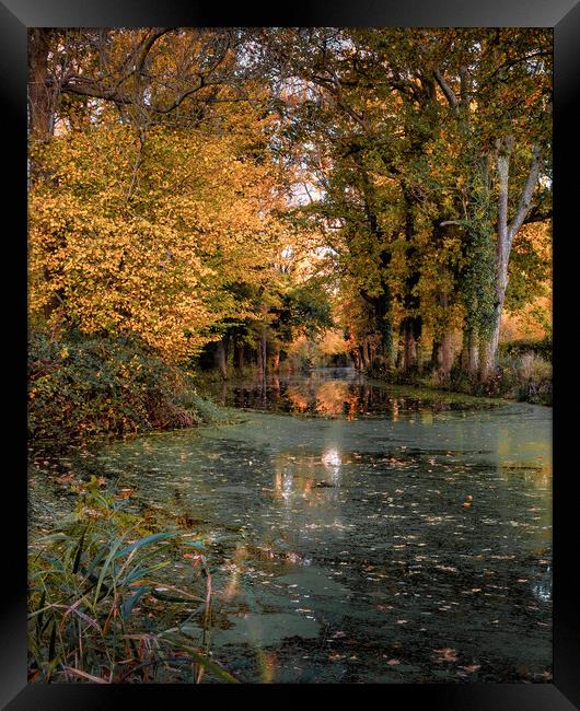 Autumn on the Canal Framed Print by Mark Jones