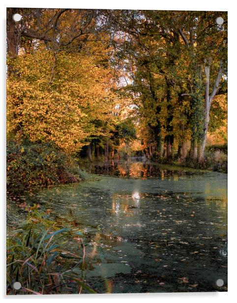 Autumn on the Canal Acrylic by Mark Jones