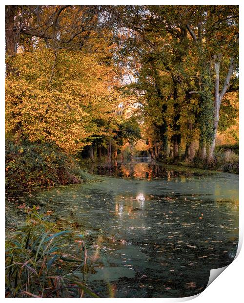 Autumn on the Canal Print by Mark Jones