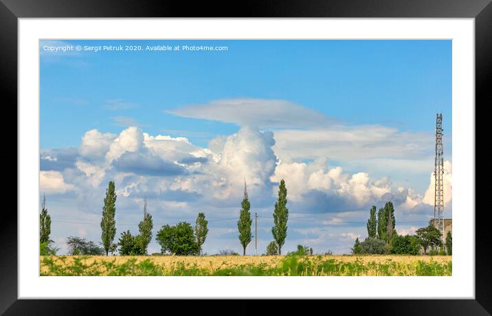 Cloudy blue sky over a yellow wheat field and lonely poplars on the horizon. Framed Mounted Print by Sergii Petruk