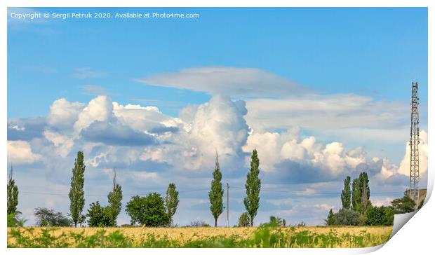 Cloudy blue sky over a yellow wheat field and lonely poplars on the horizon. Print by Sergii Petruk
