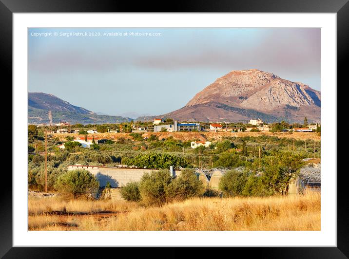 Olive groves lit by bright sunlight in the valley of Corinth, Greece. Framed Mounted Print by Sergii Petruk