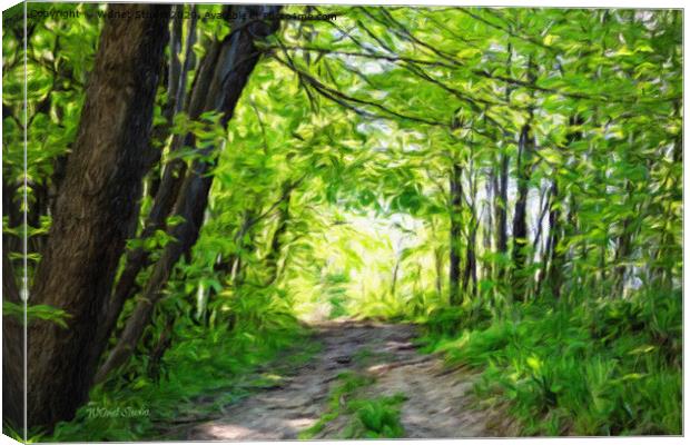 Impressionist forest and path in the sun Canvas Print by Wdnet Studio