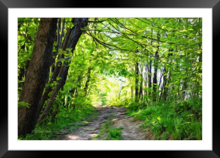 Impressionist forest and path in the sun Framed Mounted Print by Wdnet Studio