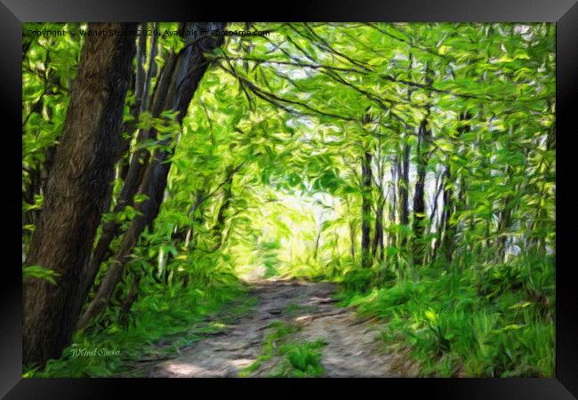 Impressionist forest and path in the sun Framed Print by Wdnet Studio