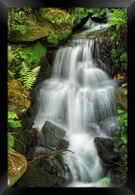 Endcliffe Park Waterfall                       Framed Print by Darren Galpin