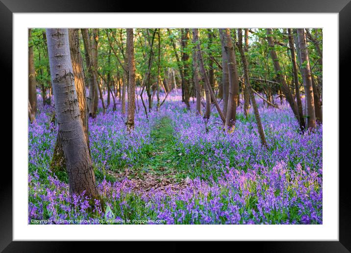 A walk through a Bluebell forest Framed Mounted Print by Simon Marlow