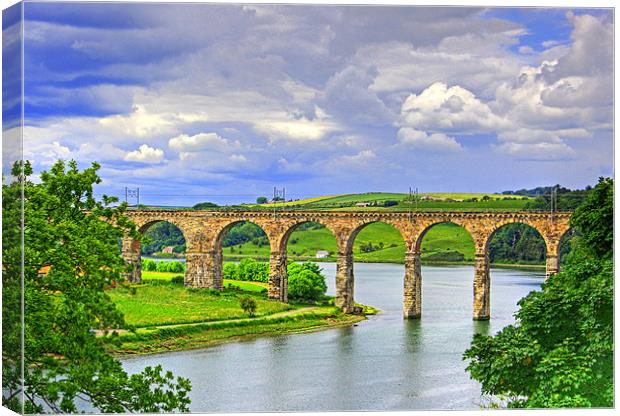 Royal Border Bridge Canvas Print by Tom Gomez