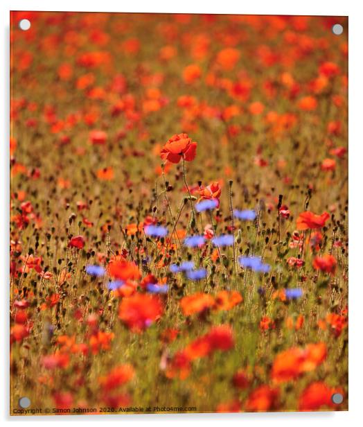Poppys ans Acrylic by Simon Johnson