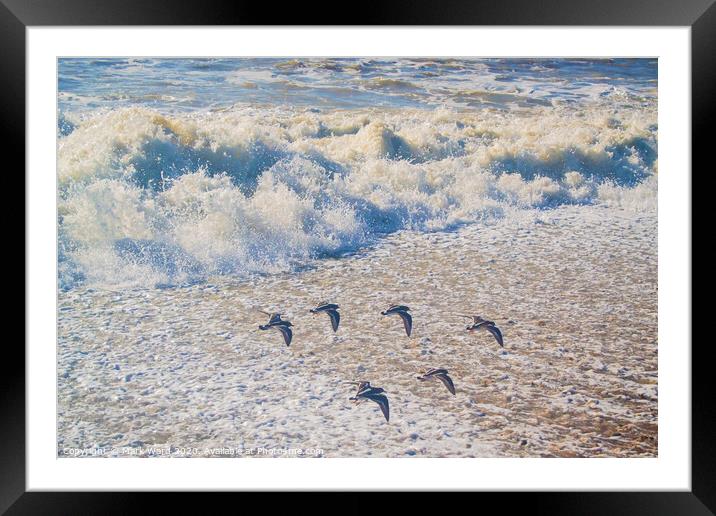 A flock of  birds flying over a beach Framed Mounted Print by Mark Ward