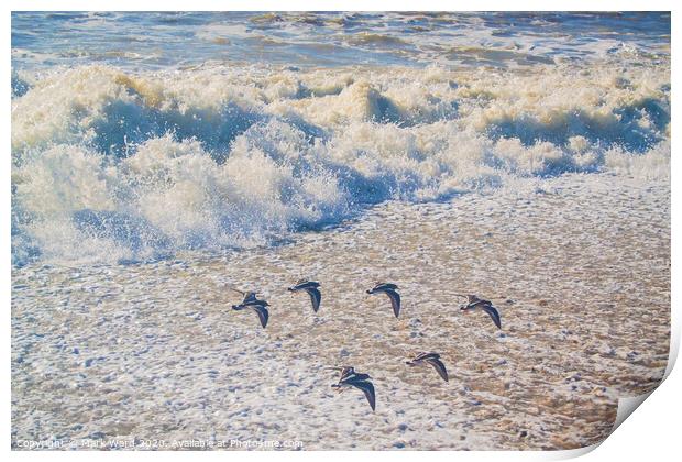 A flock of  birds flying over a beach Print by Mark Ward