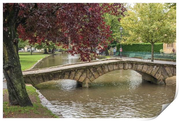 Bourton on the Water  Print by Graham Custance